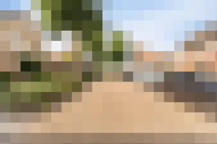 Kwint 3 Kampen thumbnail 58
