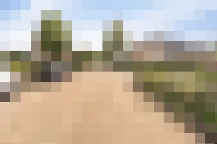 Kwint 3 Kampen thumbnail 59