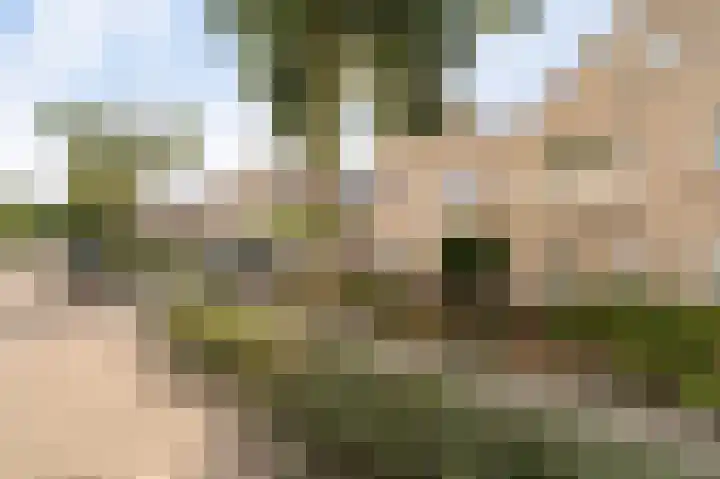 Kwint 3 Kampen thumbnail 6