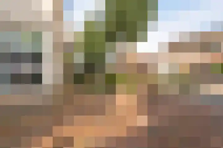 Kwint 3 Kampen thumbnail 9