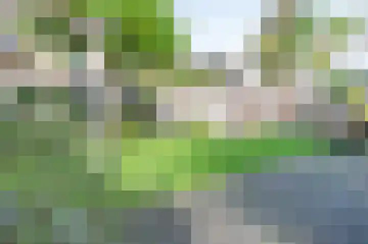 Kwint 35 Kampen thumbnail 21