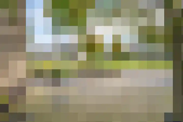 Kwint 35 Kampen thumbnail 46