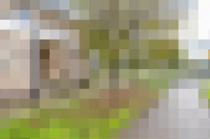 Kwint 35 Kampen thumbnail 47
