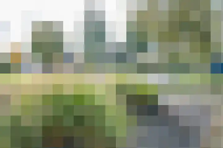 Kwint 35 Kampen thumbnail 48