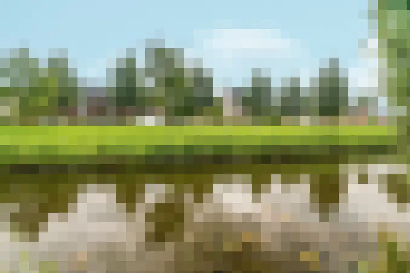 Kwint 46 Kampen thumbnail 75
