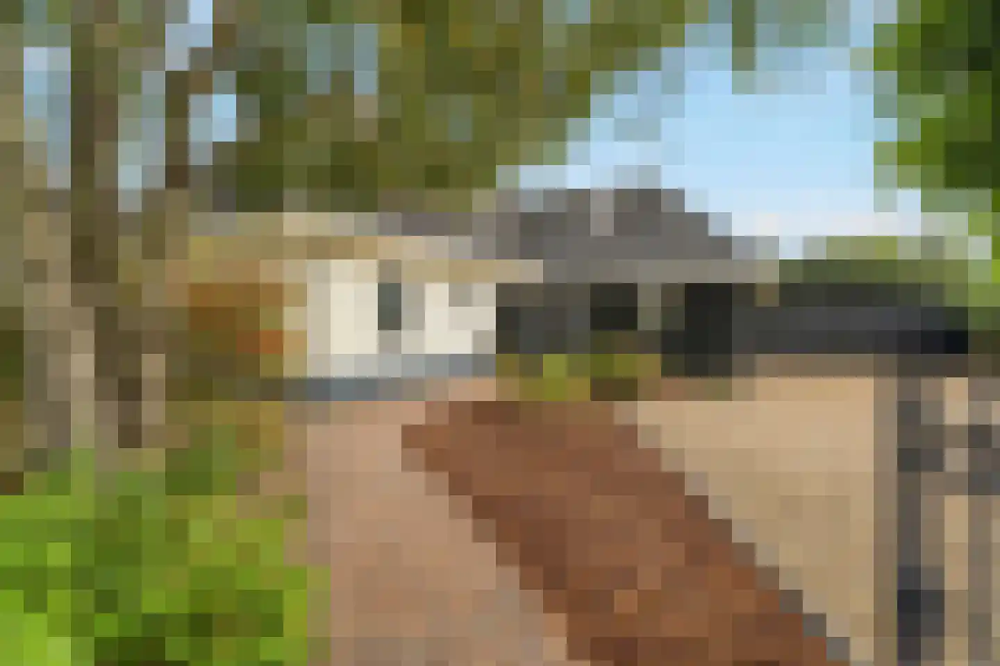 Kwint 46 Kampen thumbnail 92