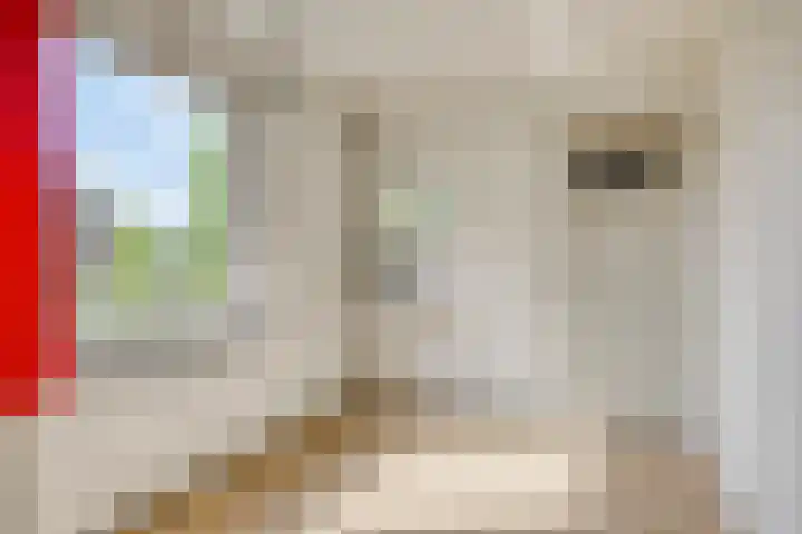 Kwintlaan 10 Leusden thumbnail 15