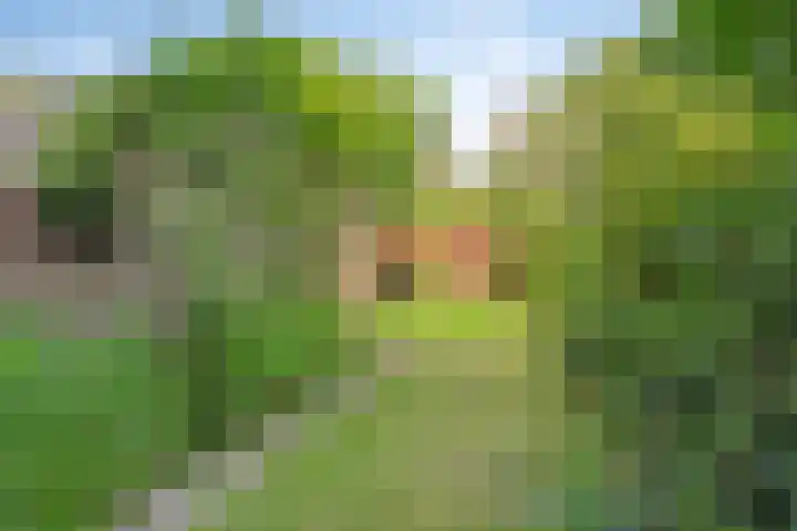 Kwintlaan 10 Leusden thumbnail 24