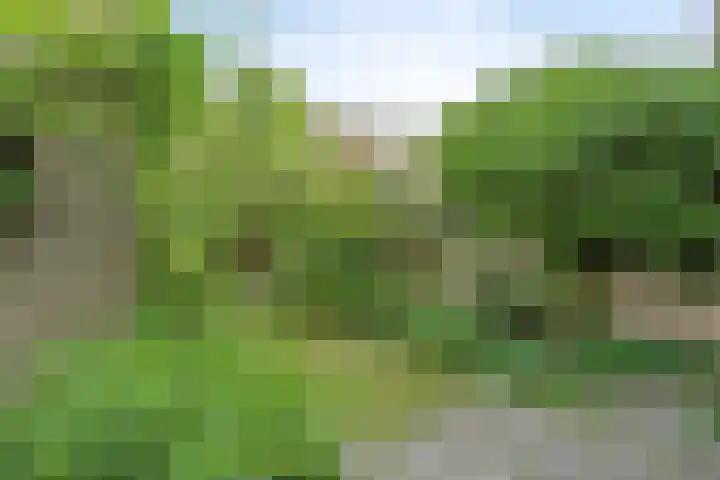 Kwintlaan 10 Leusden thumbnail 25
