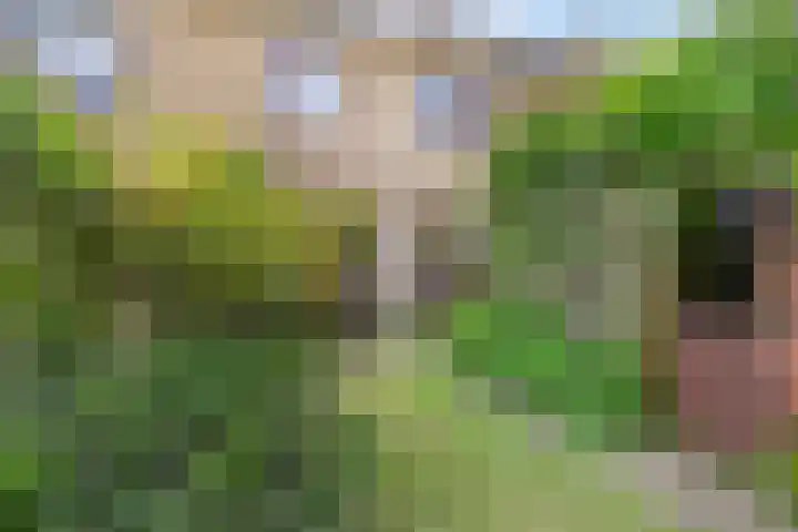 Kwintlaan 10 Leusden thumbnail 26