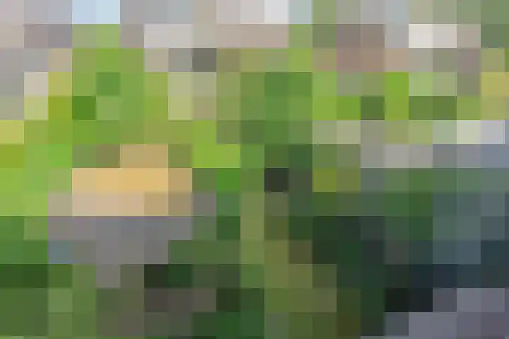 Kwintlaan 10 Leusden thumbnail 27