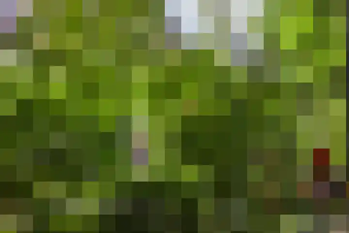 Kwintlaan 10 Leusden thumbnail 34