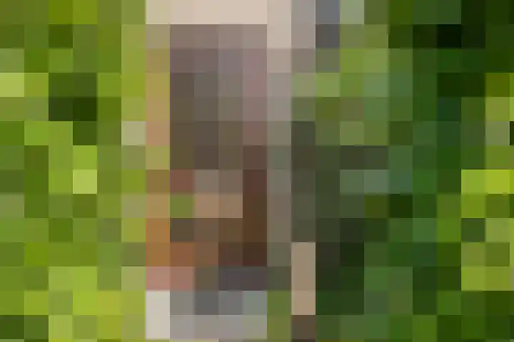 Kwintlaan 10 Leusden thumbnail 35