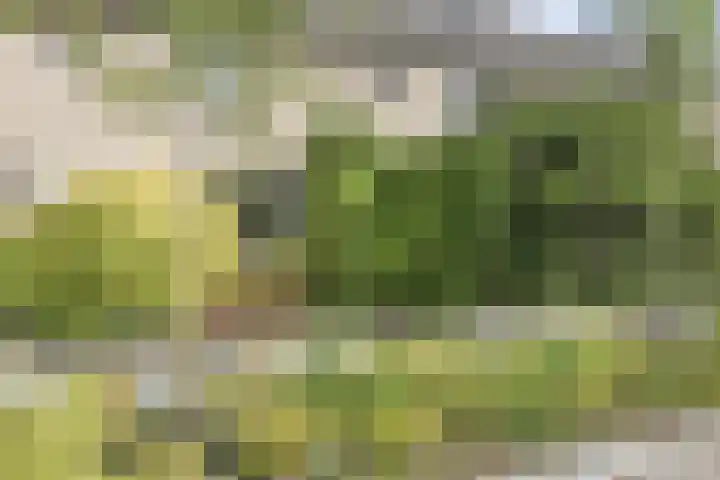Kwintlaan 10 Leusden thumbnail 41