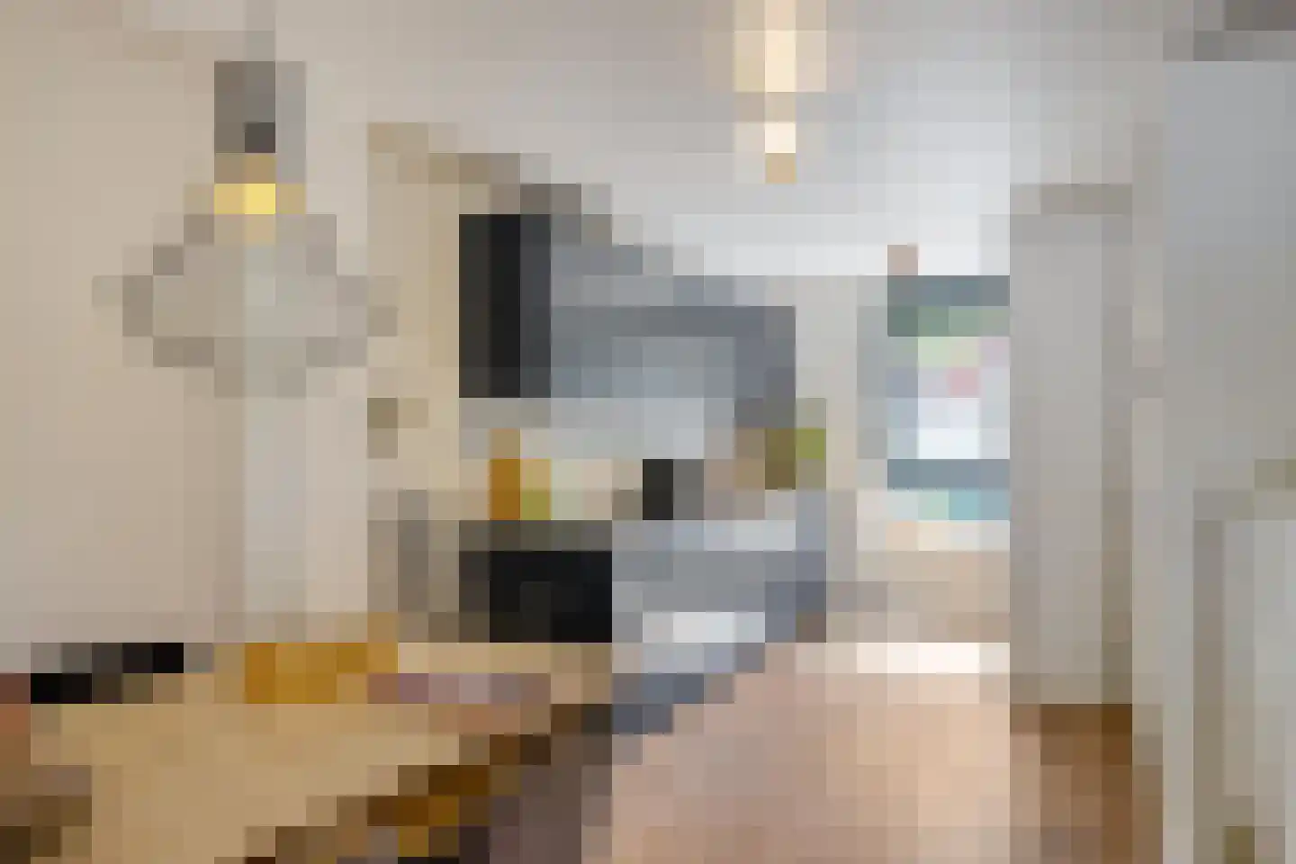 Kwintlaan 38 Groningen thumbnail 12