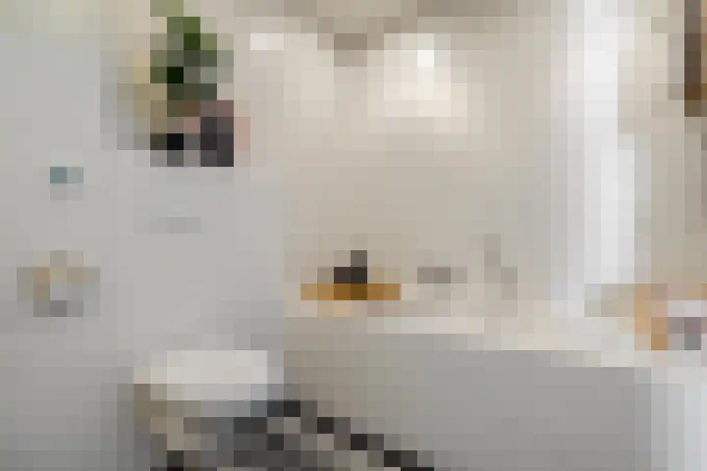 Kwintlaan 38 Groningen thumbnail 28