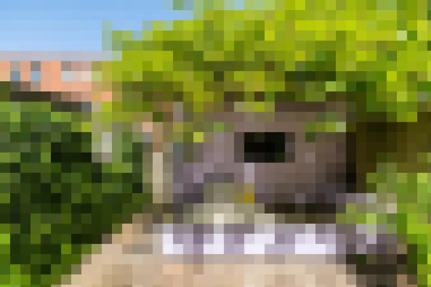Kwintlaan 38 Groningen thumbnail 37