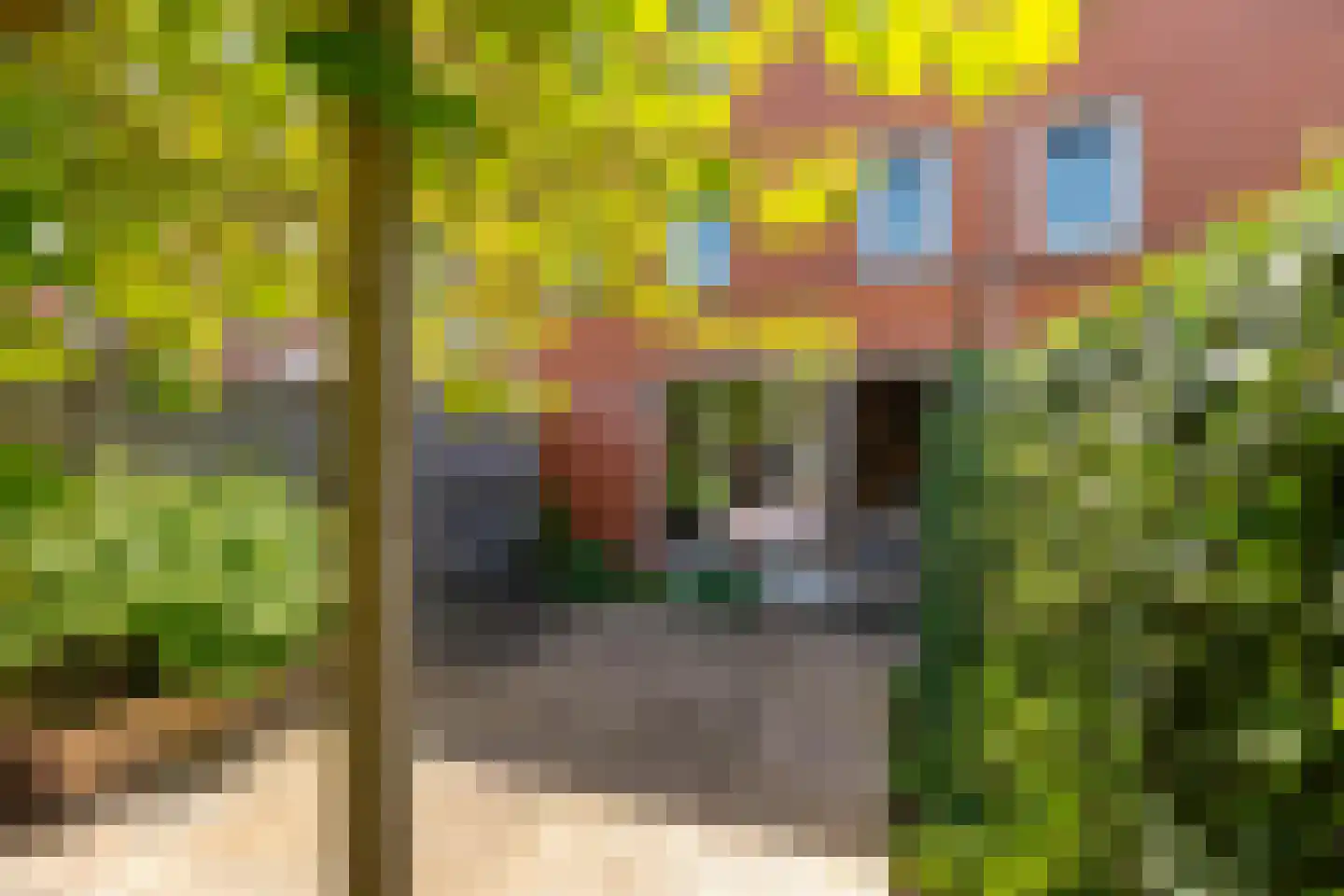 Kwintlaan 38 Groningen thumbnail 38