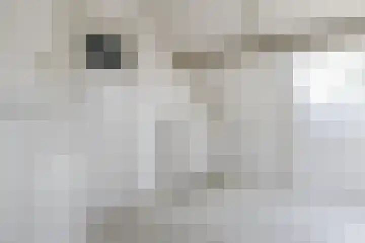 Kwintlaan 7 Leusden thumbnail 27