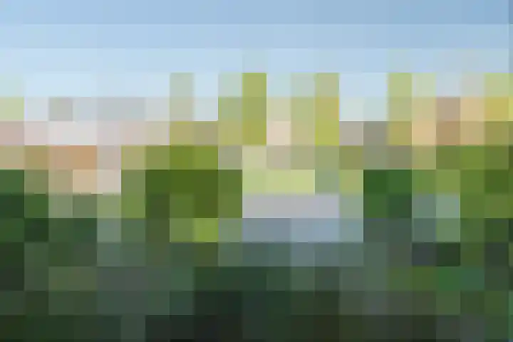 Kwintlaan 7 Leusden thumbnail 4