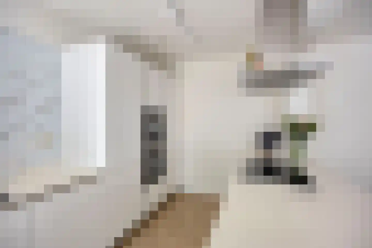 Kwintsheulstraat 74 Amsterdam thumbnail 8