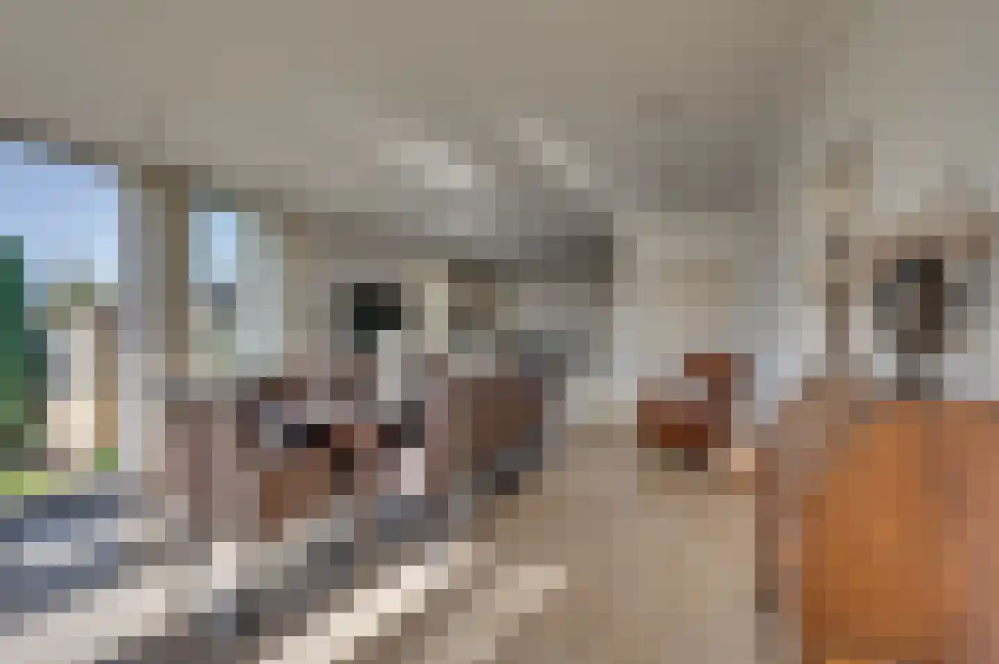 Kwistbeeklaan 5 Baarlo thumbnail 14