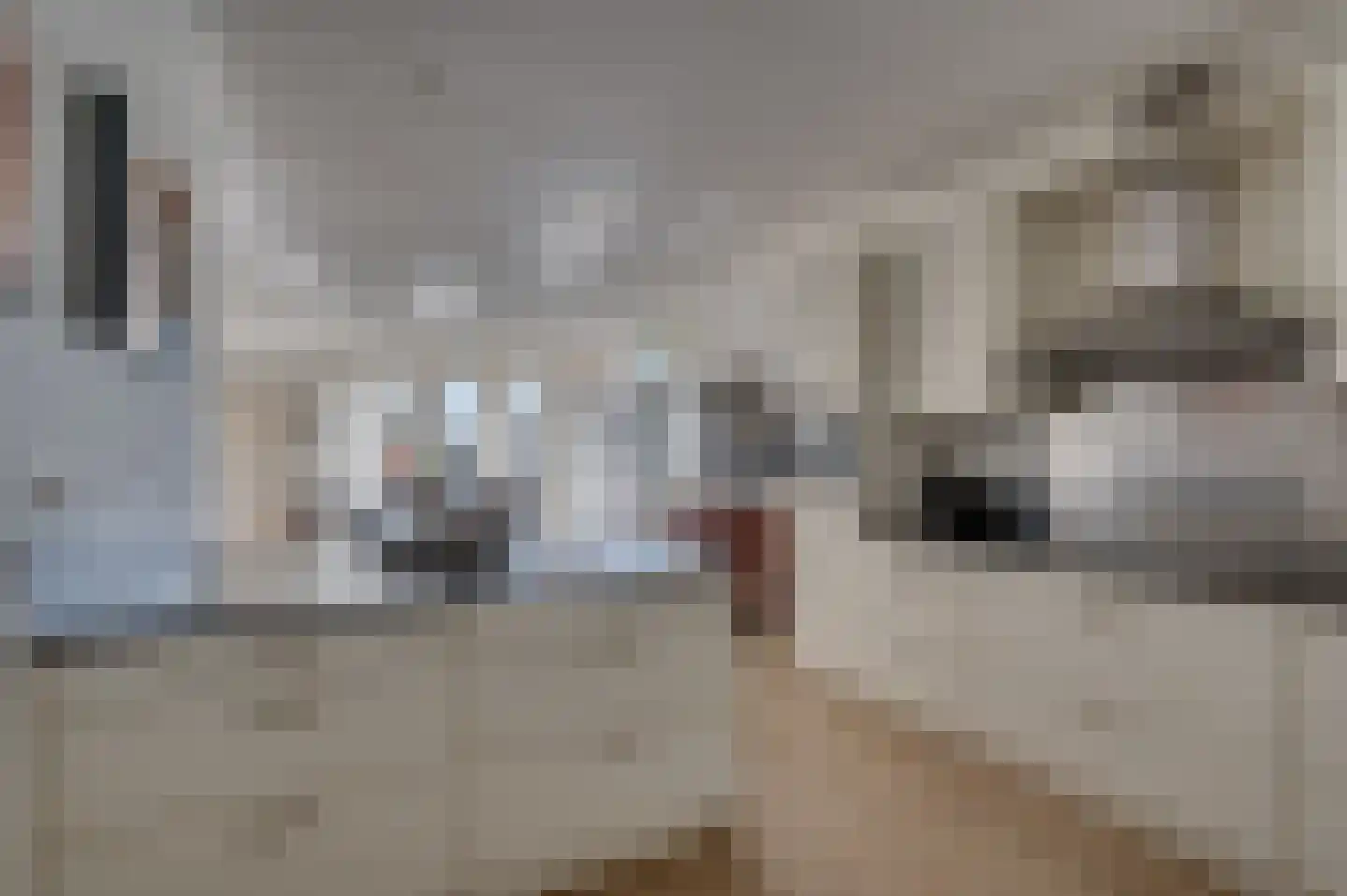Kwistbeeklaan 5 Baarlo thumbnail 20