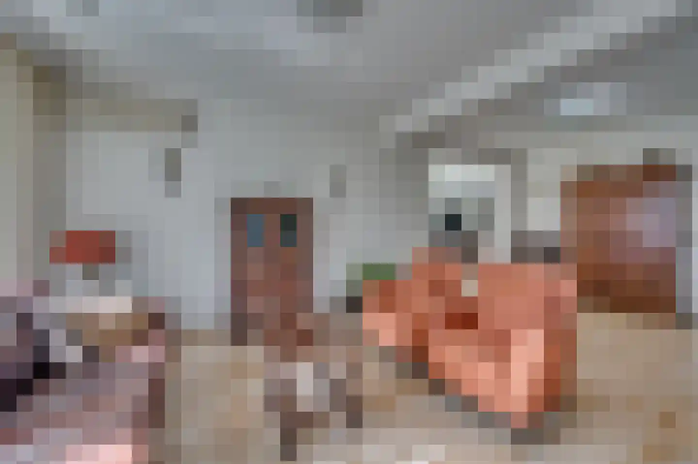 Kwistbeeklaan 5 Baarlo thumbnail 4