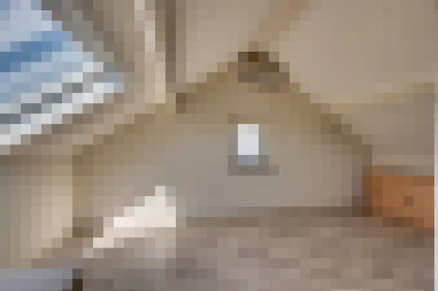 Kwistbeeklaan 5 Baarlo thumbnail 49