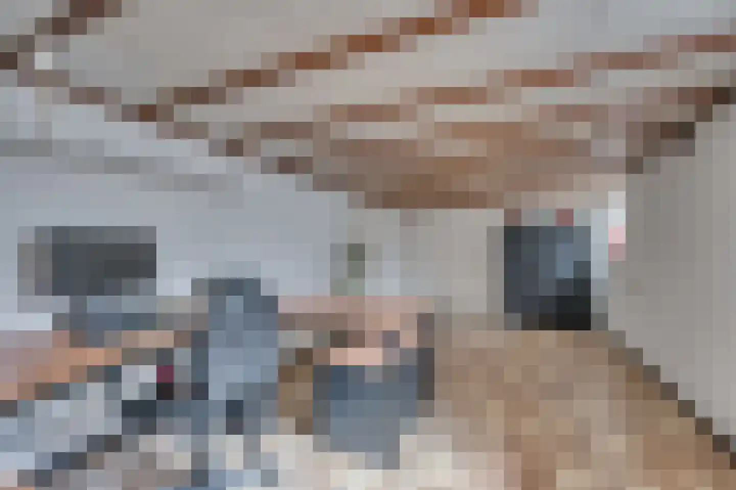 Kwistbeeklaan 5 Baarlo thumbnail 54