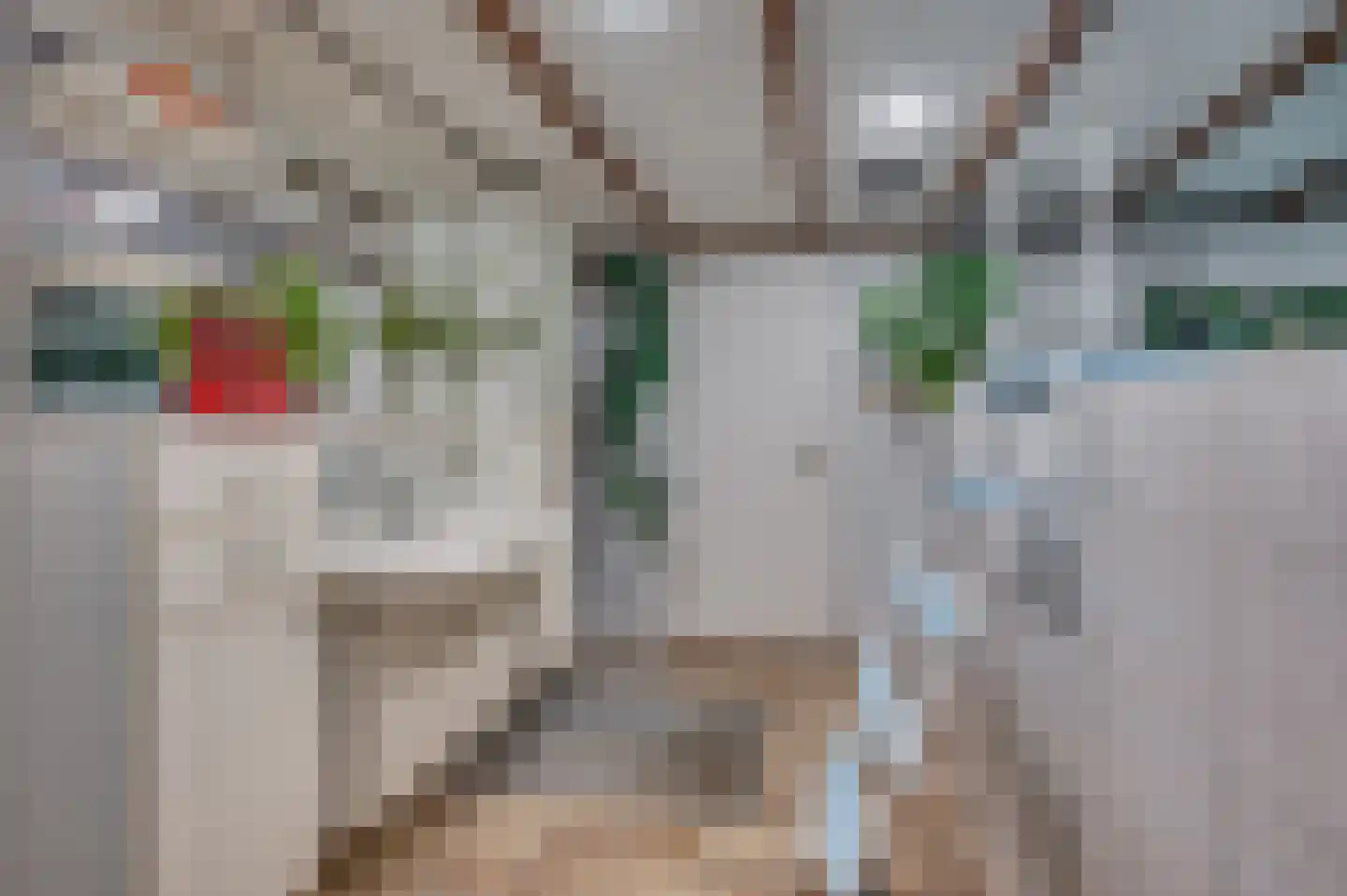 Kwistbeeklaan 5 Baarlo thumbnail 59
