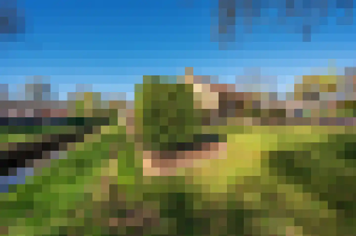 Kwistbeeklaan 5 Baarlo thumbnail 80