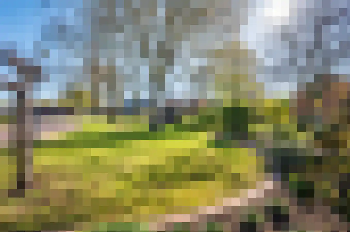 Kwistbeeklaan 5 Baarlo thumbnail 83