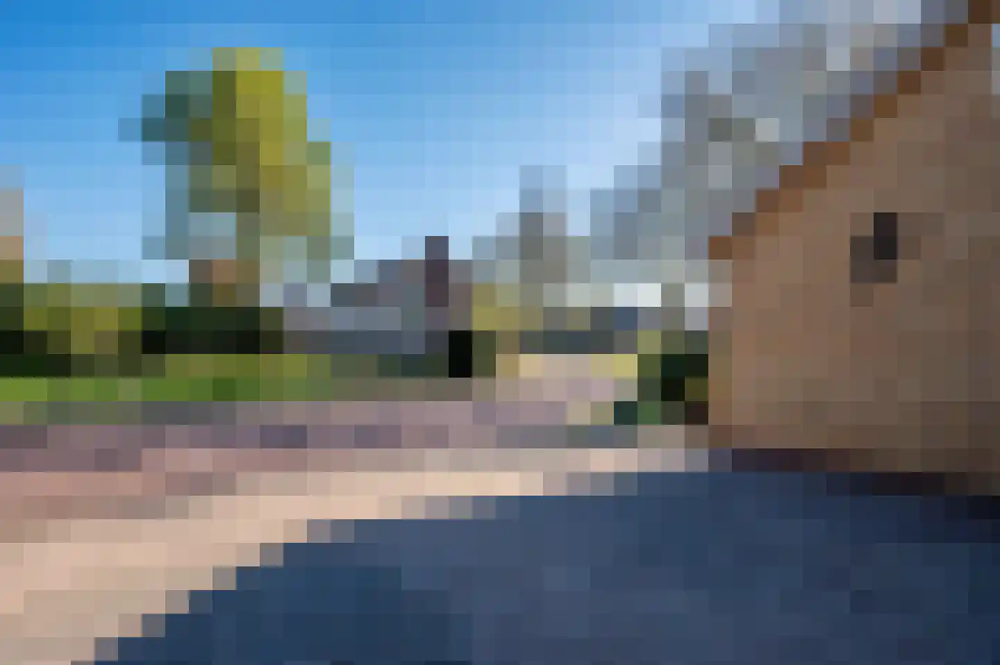 Kwistbeeklaan 5 Baarlo thumbnail 85