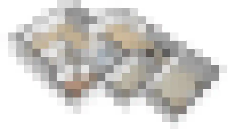 Kwistbeeklaan 5 Baarlo thumbnail 88