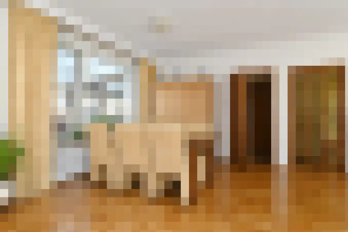 Kwistbeeklaan 8 b Baarlo thumbnail 10