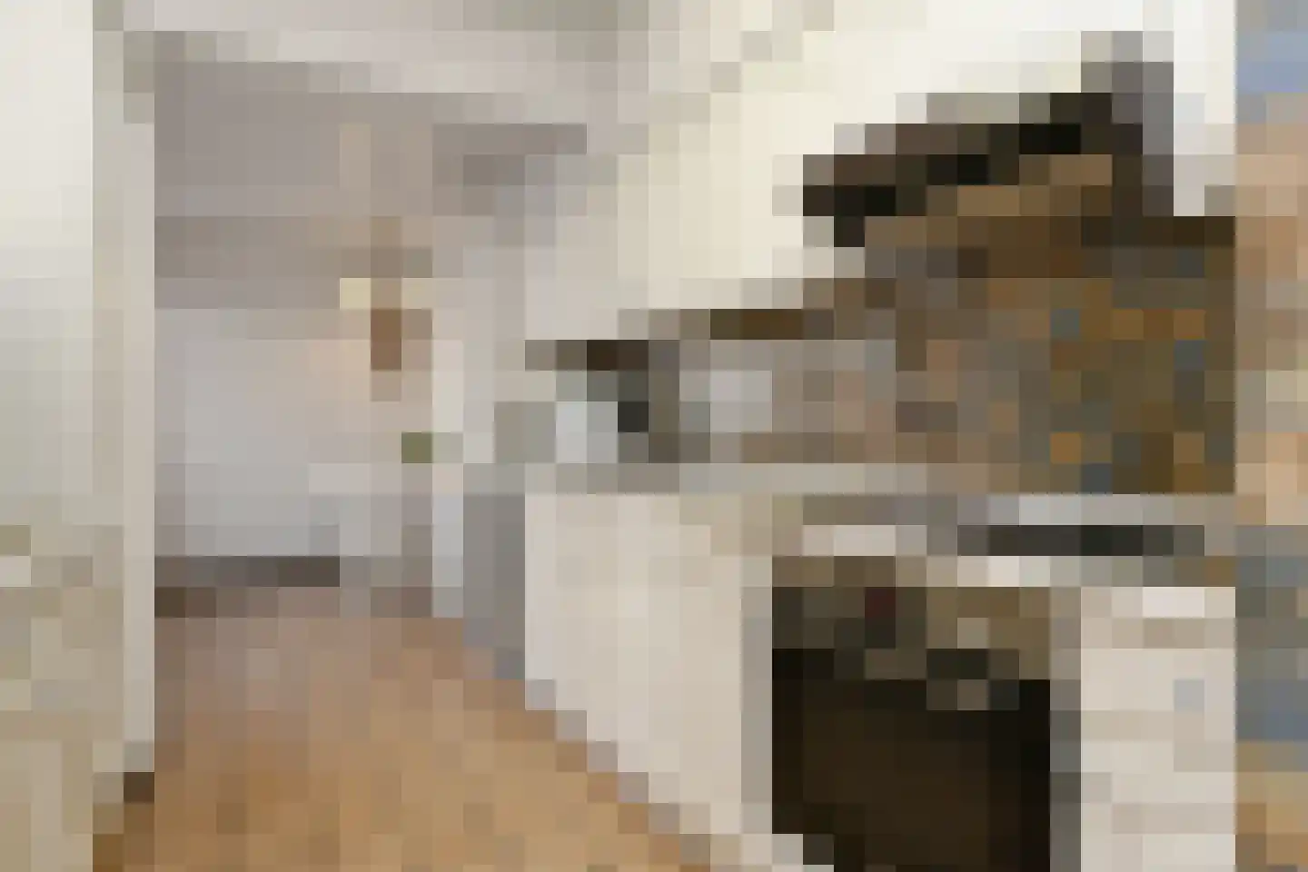 Kwistbeeklaan 8 b Baarlo thumbnail 11