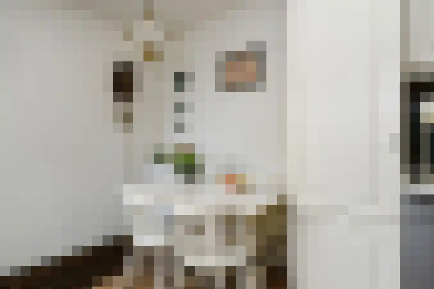 Kwistbeeklaan 8 b Baarlo thumbnail 12