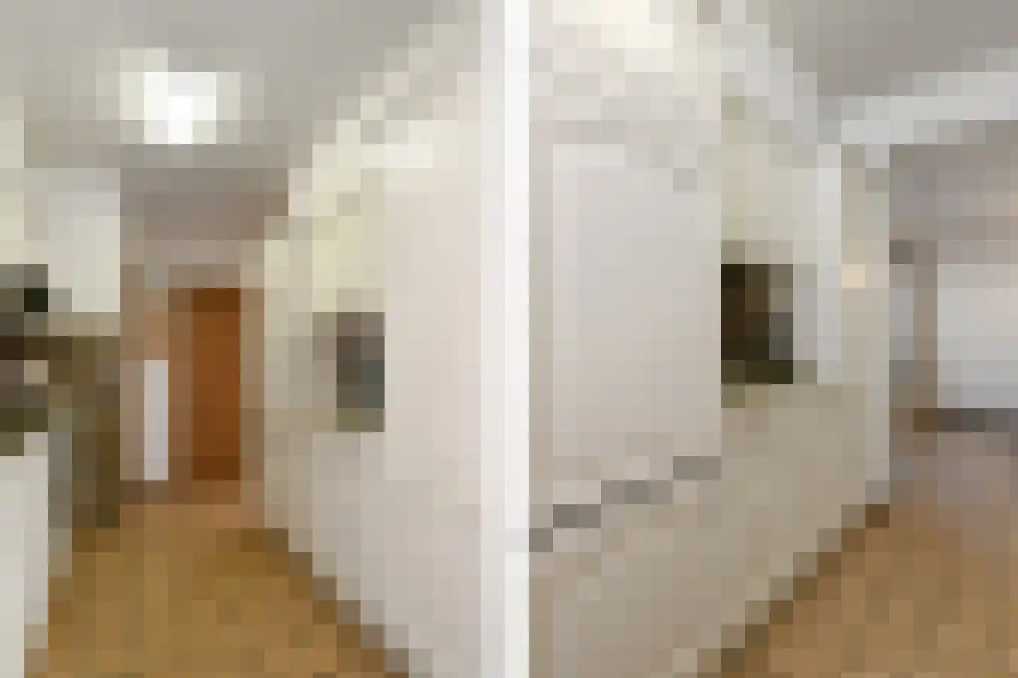 Kwistbeeklaan 8 b Baarlo thumbnail 13