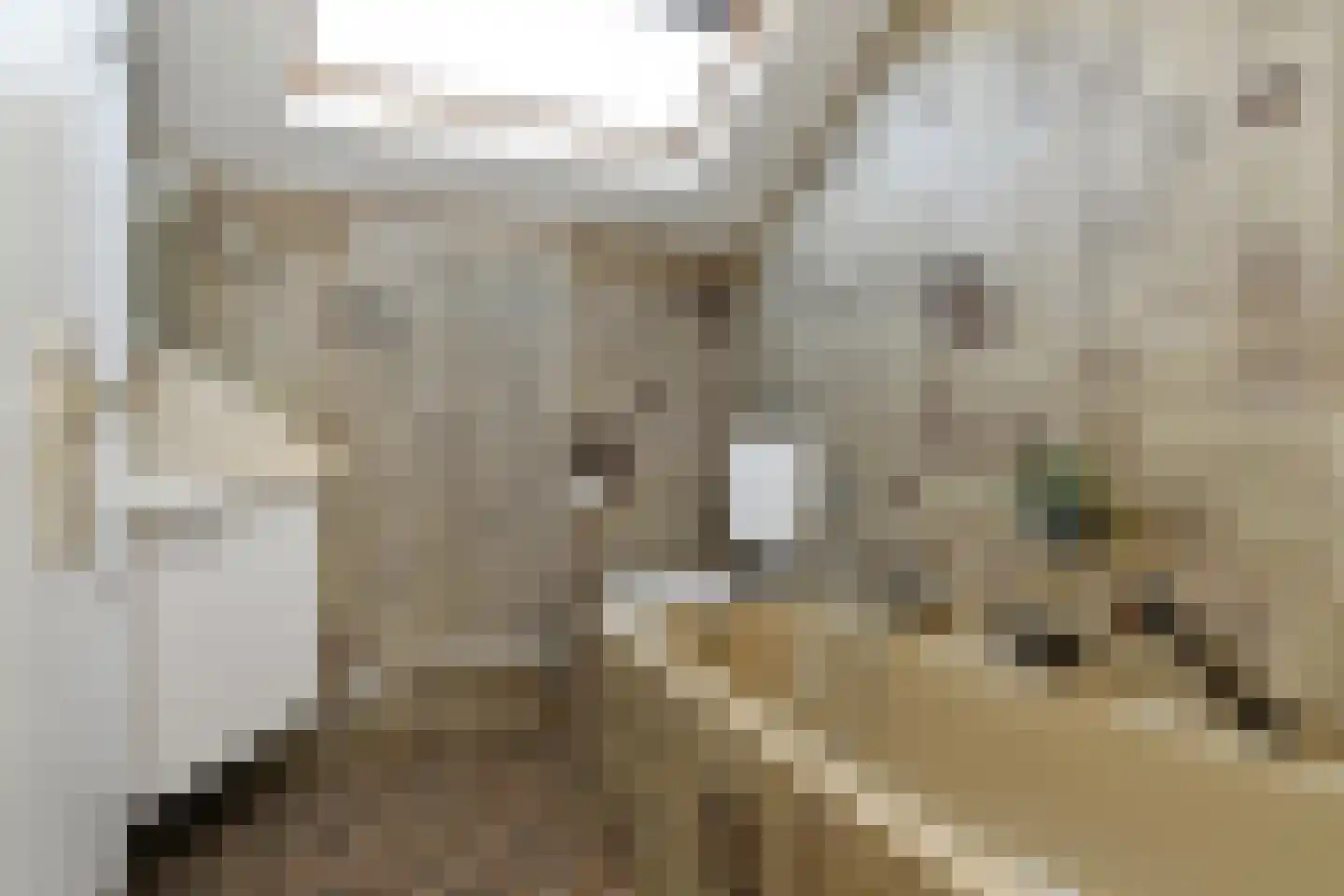 Kwistbeeklaan 8 b Baarlo thumbnail 20