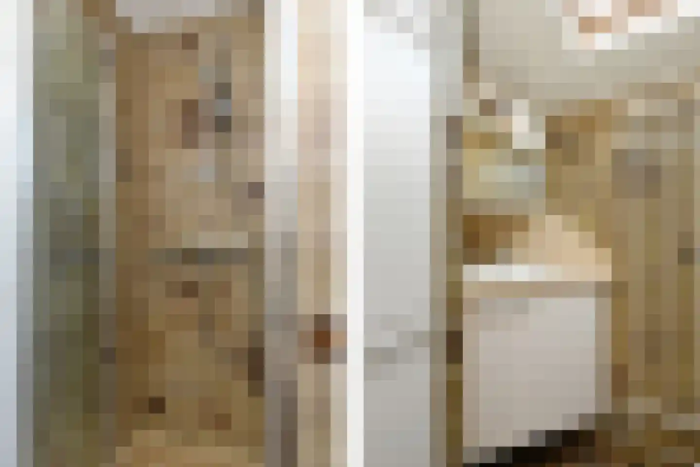 Kwistbeeklaan 8 b Baarlo thumbnail 21