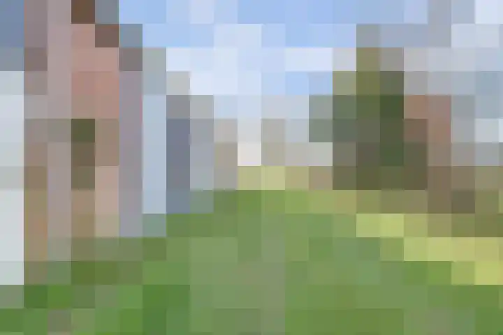 Kwistenburg 1 Wolphaartsdijk thumbnail 11