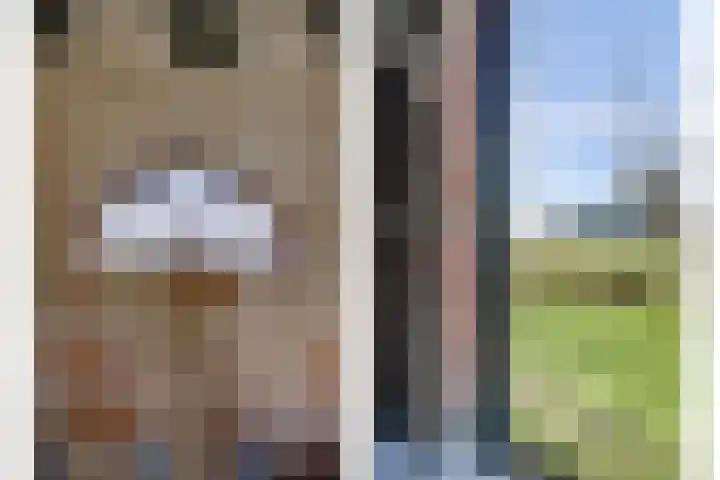 Kwistenburg 1 Wolphaartsdijk thumbnail 12