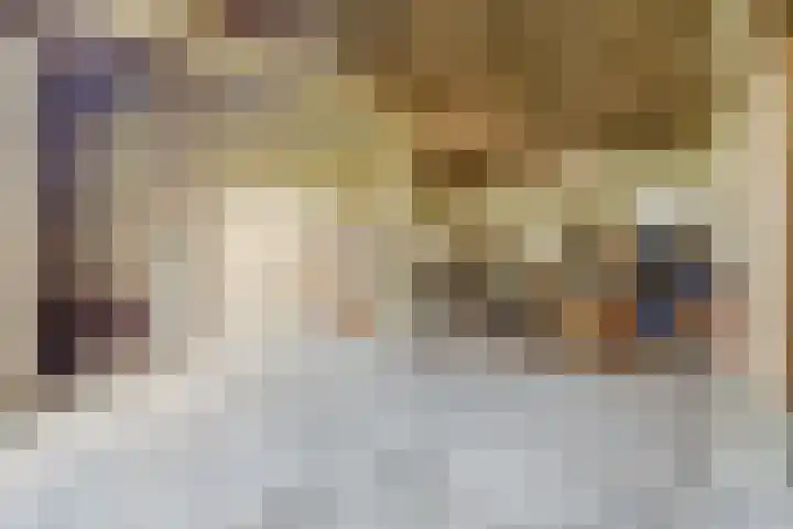 Kwistenburg 1 Wolphaartsdijk thumbnail 13