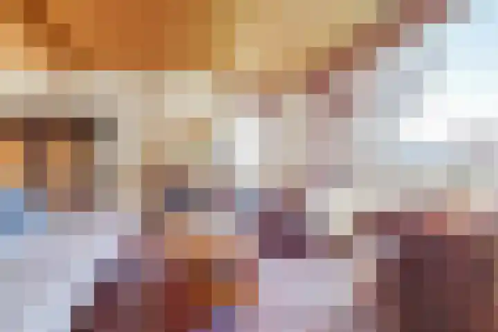 Kwistenburg 1 Wolphaartsdijk thumbnail 18