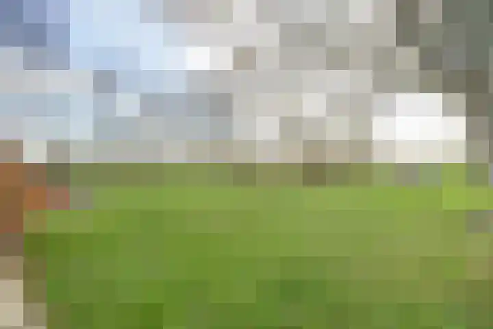 Kwistenburg 1 Wolphaartsdijk thumbnail 38