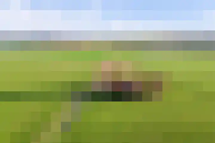 Kwistenburg 1 Wolphaartsdijk thumbnail 4