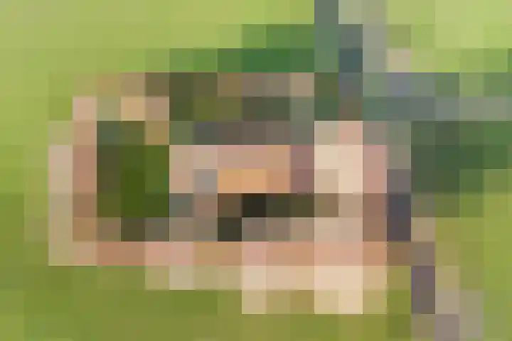 Kwistenburg 1 Wolphaartsdijk thumbnail 40