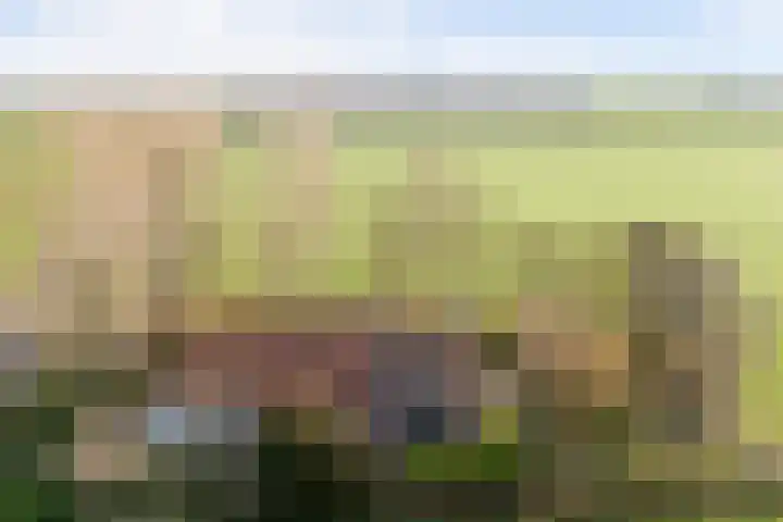 Kwistenburg 1 Wolphaartsdijk thumbnail 41