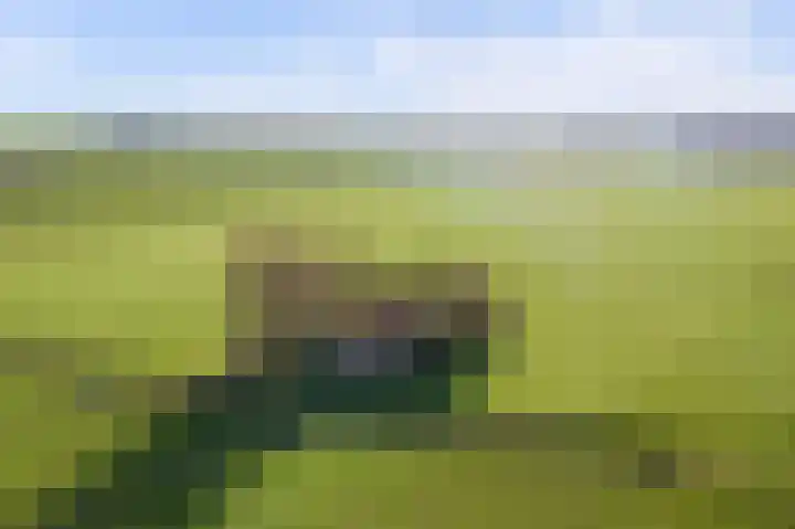 Kwistenburg 1 Wolphaartsdijk thumbnail 42